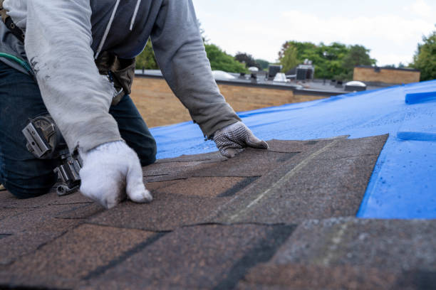 Quick and Trustworthy Emergency Roof Repair Services in Tonopah, NV
